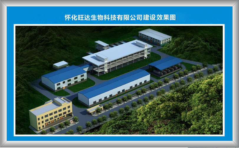 米乐在线平台,米乐在线平台(中国)